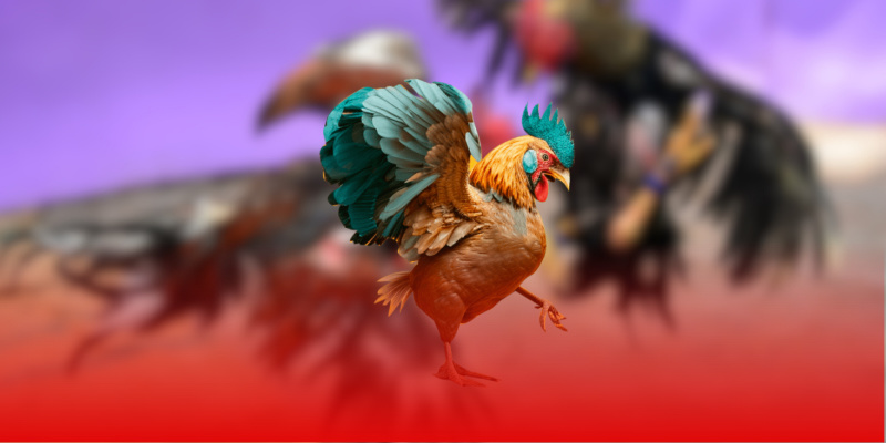 Đá Gà Sunwin: Trải Nghiệm Đấu Trường Gà Cực Kỳ Kịch Tính